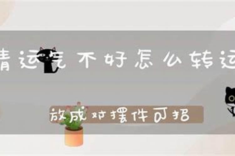 梦到情人和他老婆是什么意思