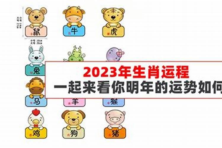 2026年属什么生肖属相