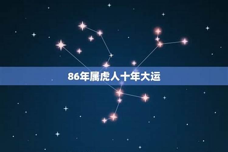 86属虎人的命运