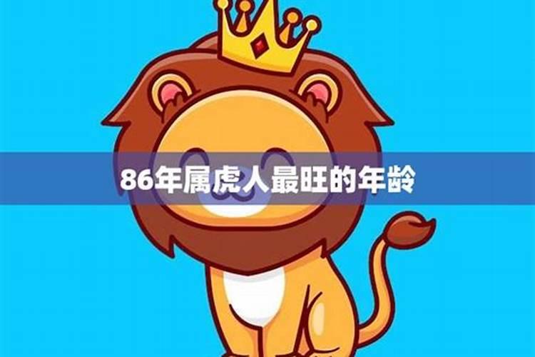 86属虎运势最旺的年份