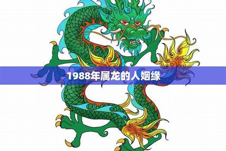 1988年属龙的姻缘何时出现