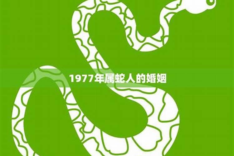 1977年属蛇的一生婚姻如何