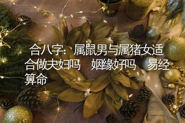 算八字怎么算准的人