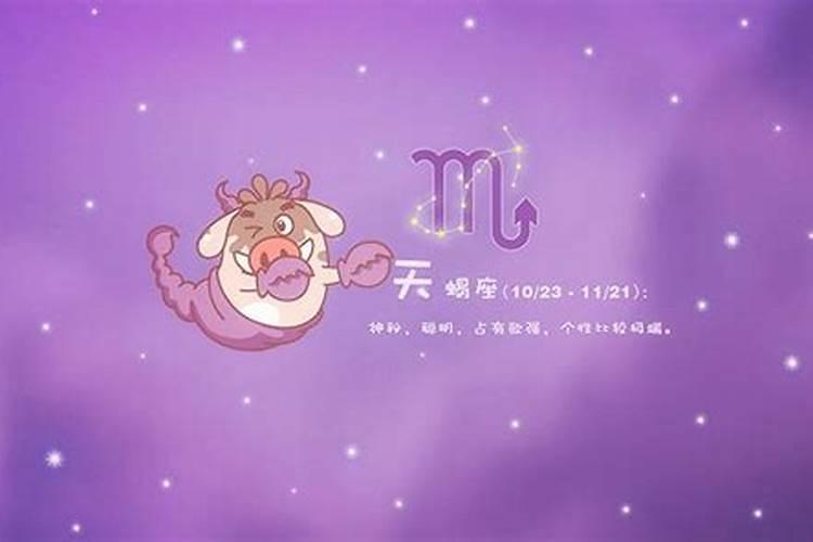 星座爱情观是什么