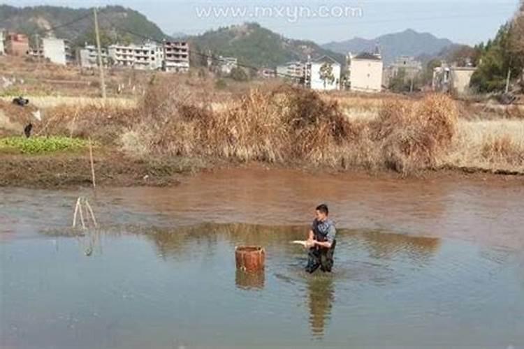 梦见亲人抓鱼掉进深水