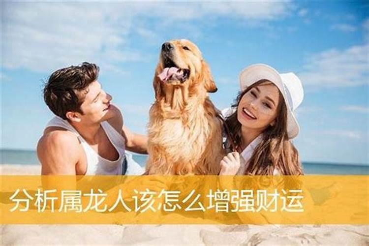 七六年属龙的2021年运势如何