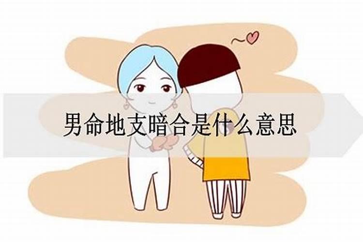 男兔女蛇生辰八字暗合什么意思