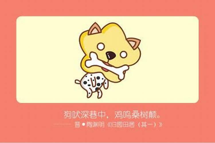 犯太岁不可过生日吗为什么