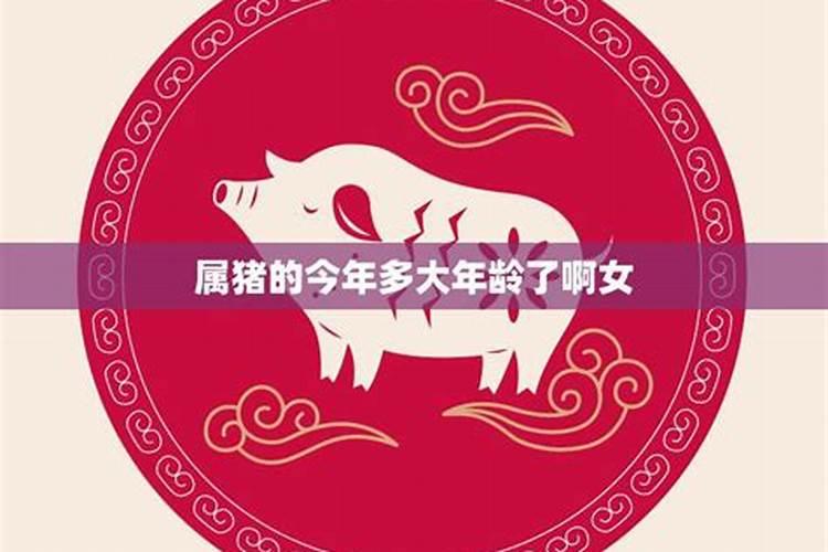 属猪的今年3月份运程如何