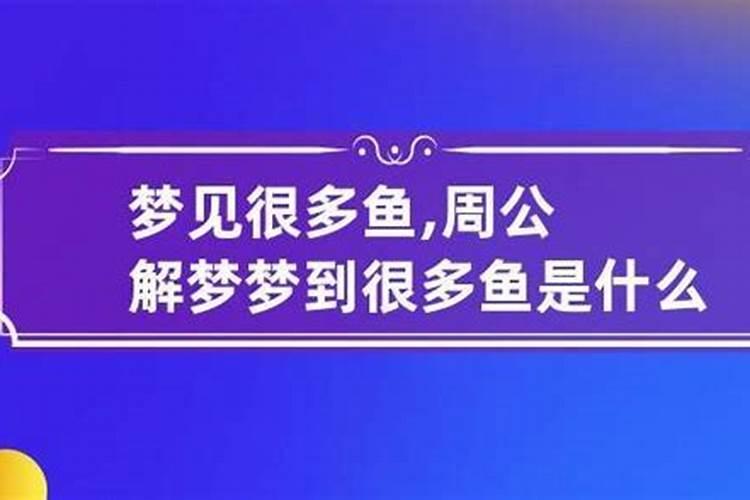 备孕梦到很多鱼是什么征兆