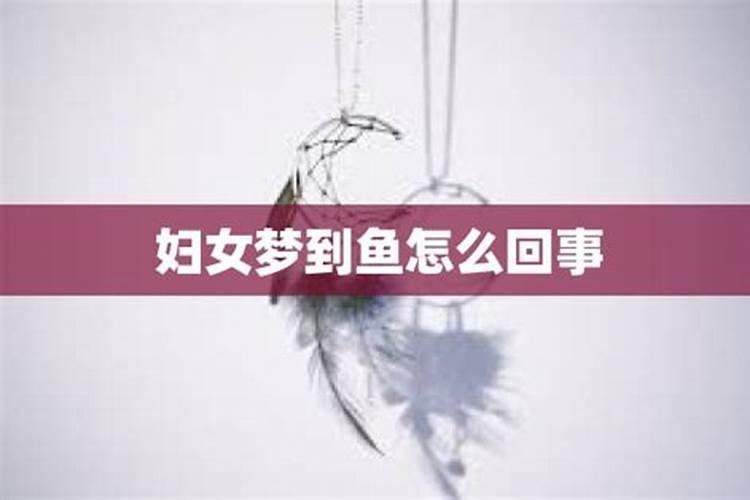 备孕梦到鱼是怎么回事儿