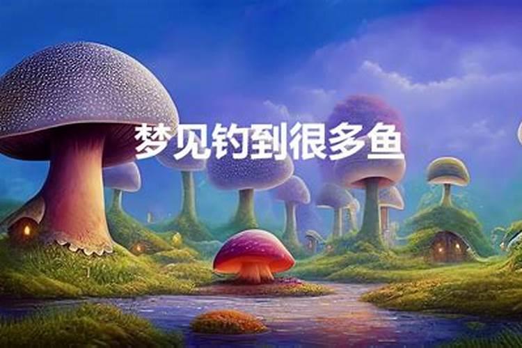 备孕梦到很多鱼是什么征兆