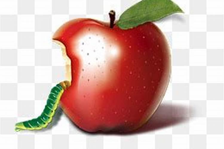 梦到吃有虫子的苹果