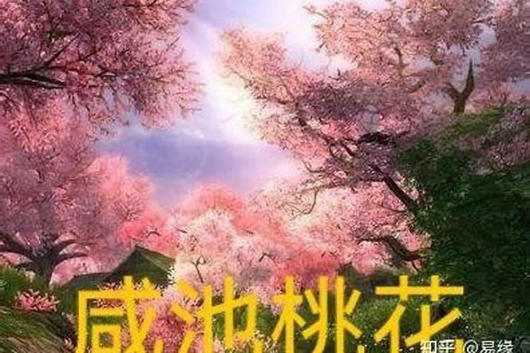 生辰八字如何看犯桃花