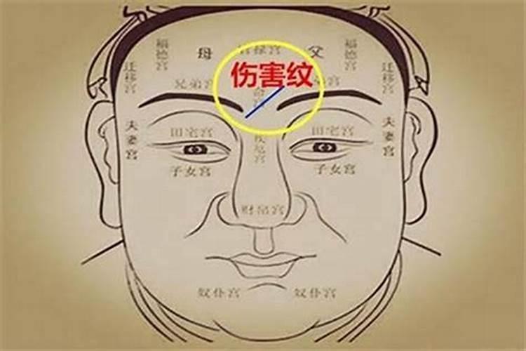 看一个人的运势从哪里看