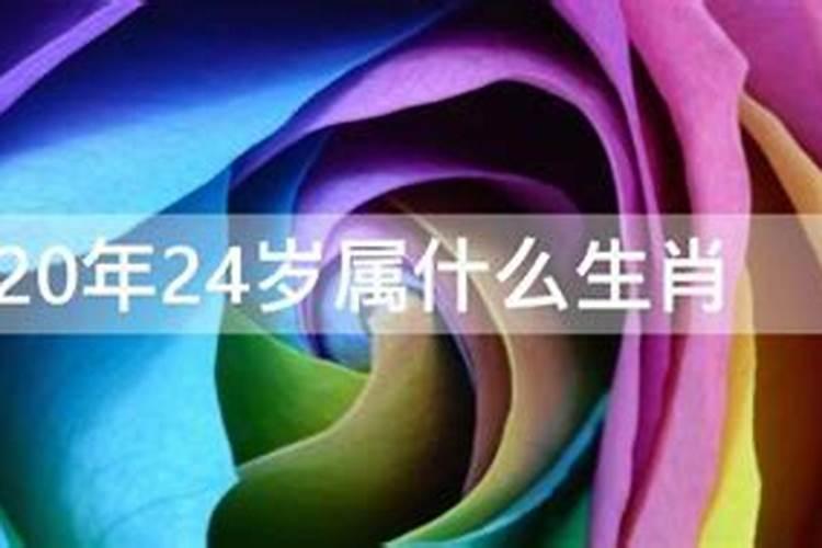 2021年24周岁属什么的