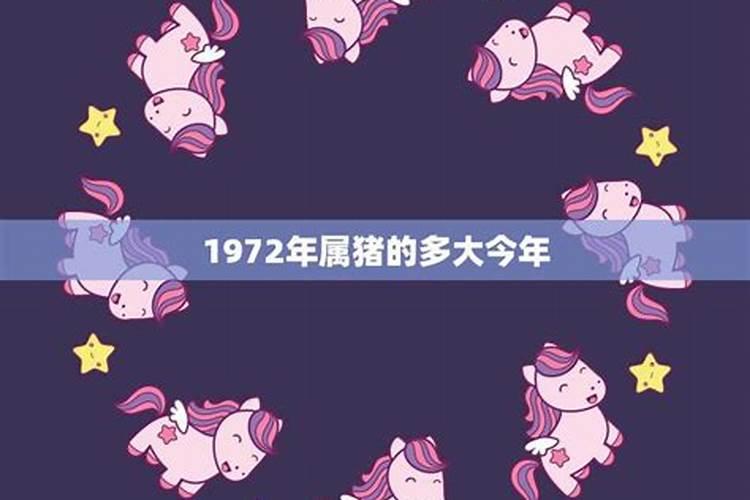 1972年属猪今年运势如何