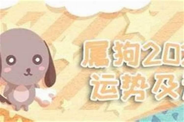 属狗女今年运气怎么样