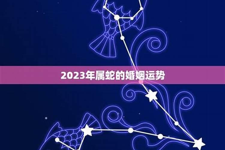 2023年属蛇男性婚姻运势怎么样