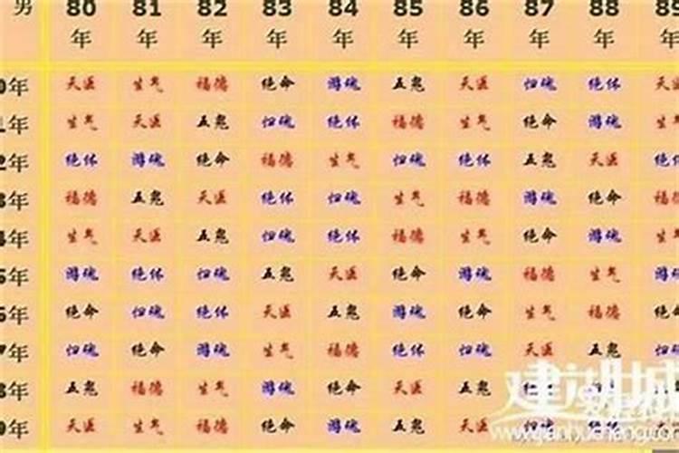 属虎的和属什么的八字合