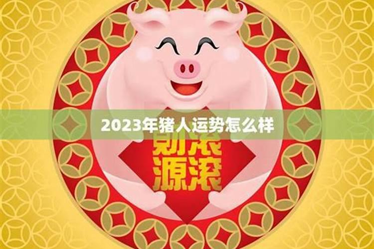 猪运势2023运势如何