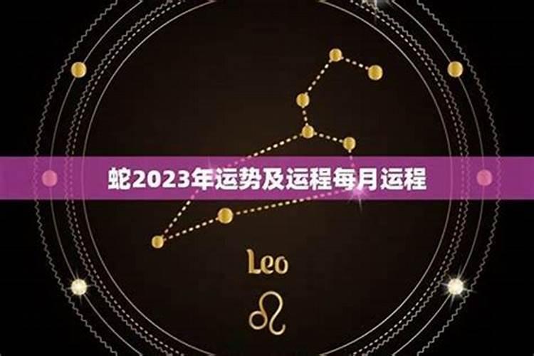 属蛇2023年8月份运程如何