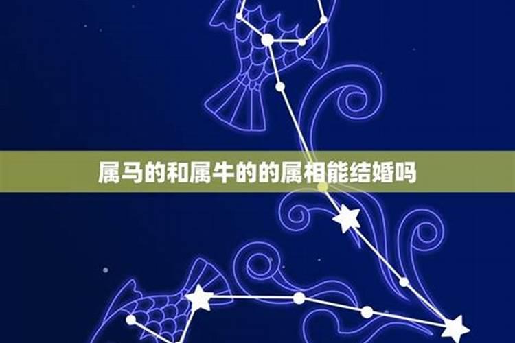 12星座谁最容易撩水瓶座