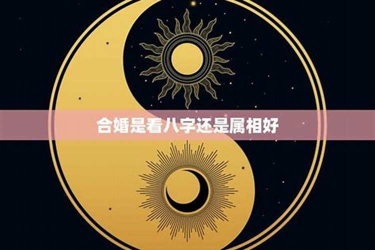 婚姻看八字还是星座