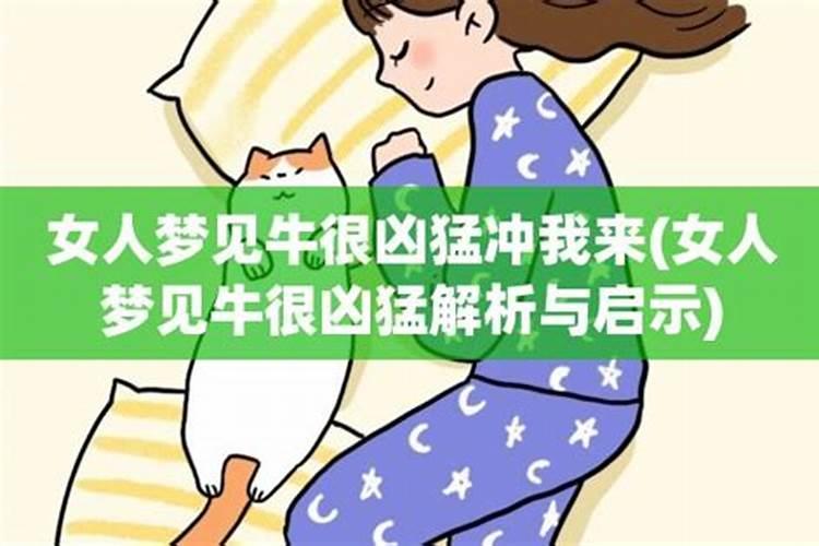 梦见牛冲过来撞我