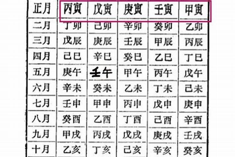 八字己巳