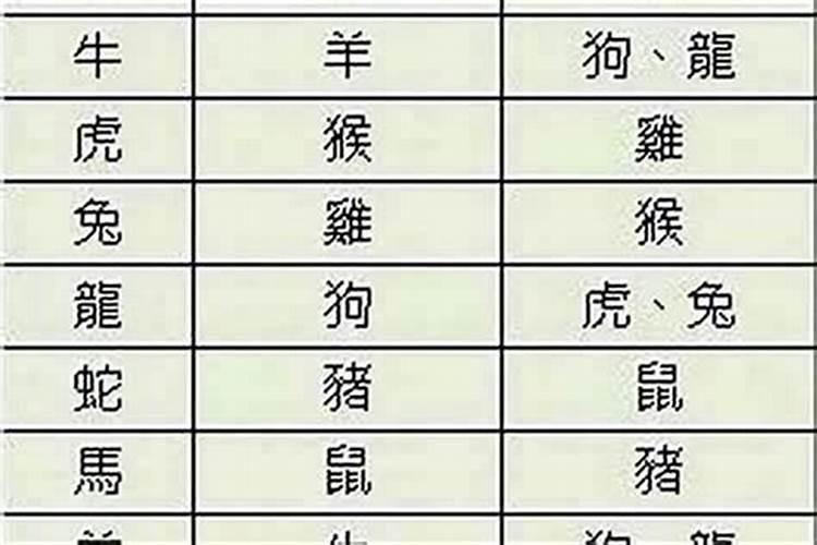 男属兔女属牛八字合吗