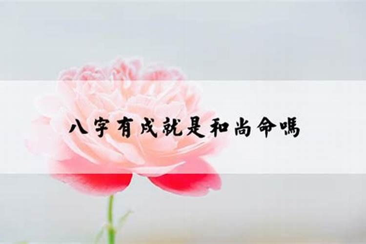 做道士的八字