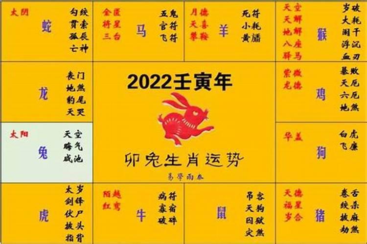 属兔2022年虎年运势