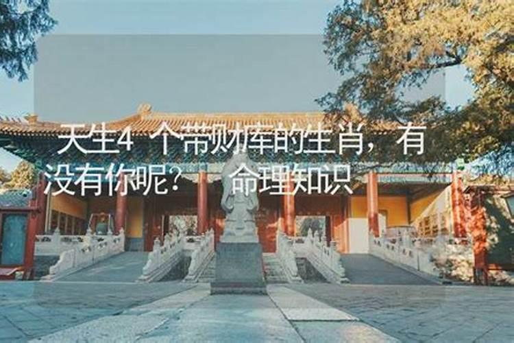 天生财库大是什么意思