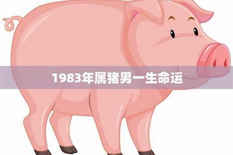 八三年属猪男的2021年怎么样