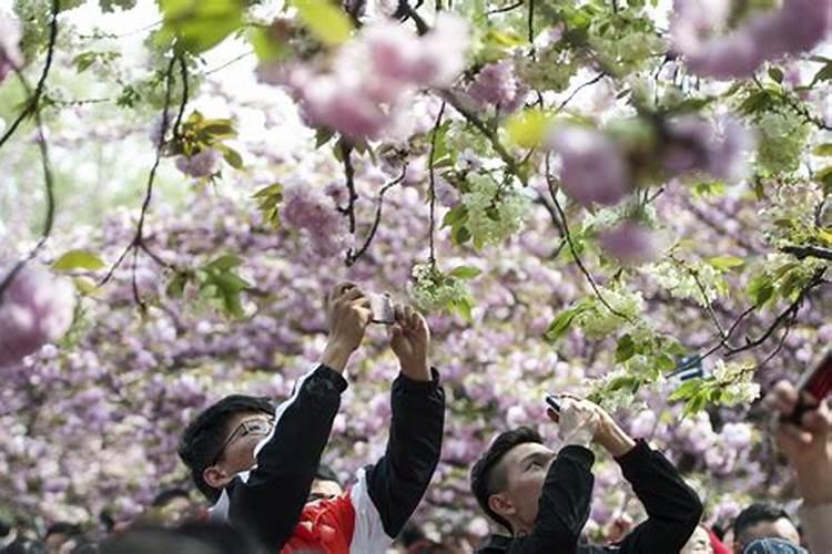 合肥清明节祭祀场所有哪些