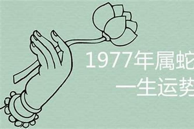 77年蛇女一生运势