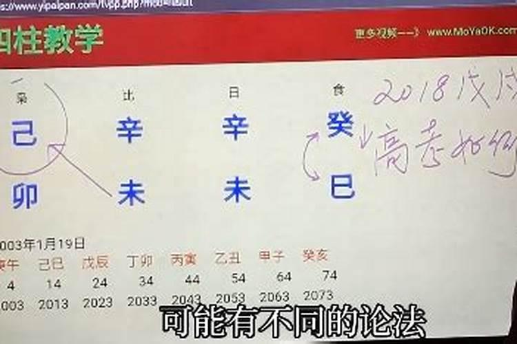 八字算高考