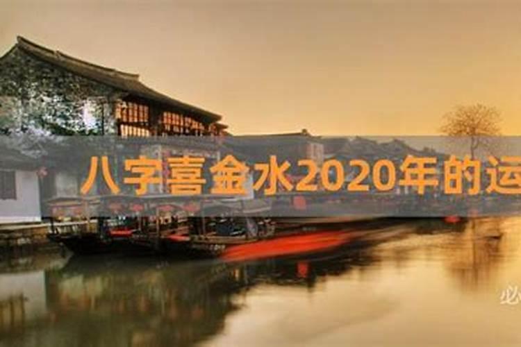 生肖2023