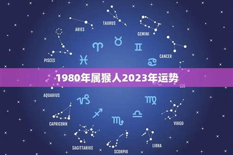 猴人2023年的运势