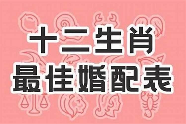 属虎婚配哪个属相禁忌