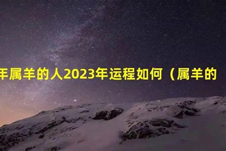 属羊2023感情运势婚姻