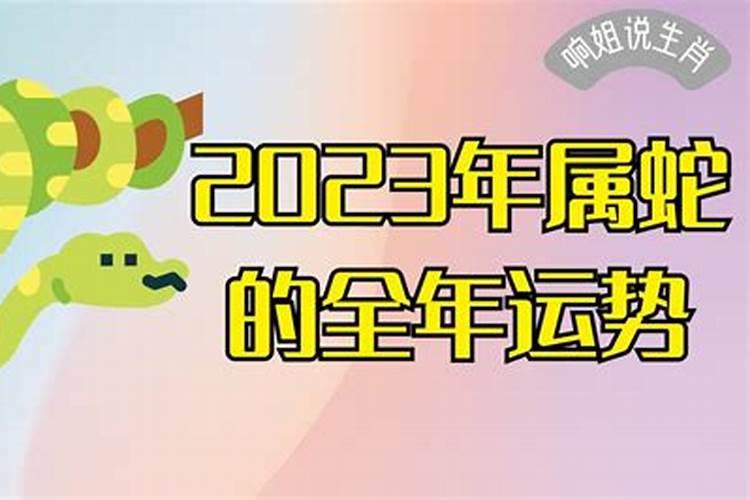 2023属蛇的全年运势