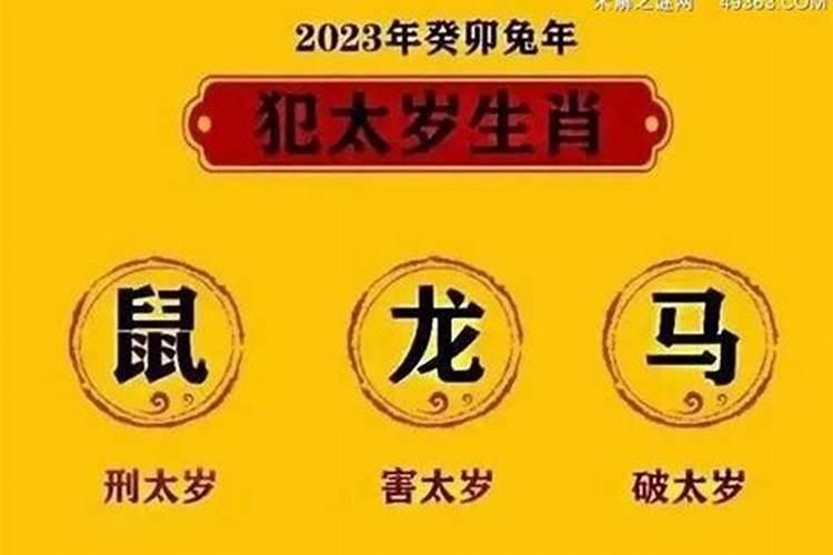 11月多少号立冬