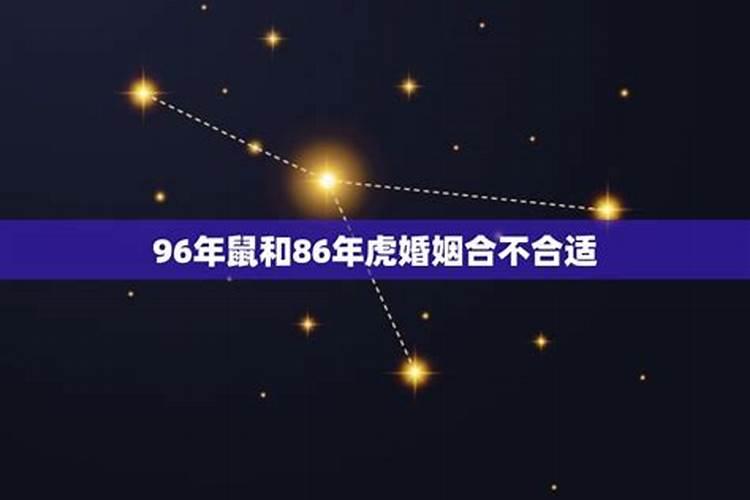 96年鼠和86年虎八字合不合