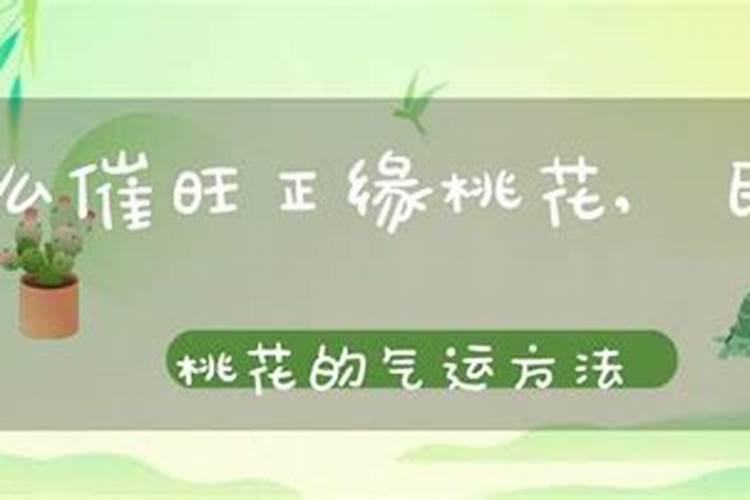 民间招桃花和招财的方法有哪些