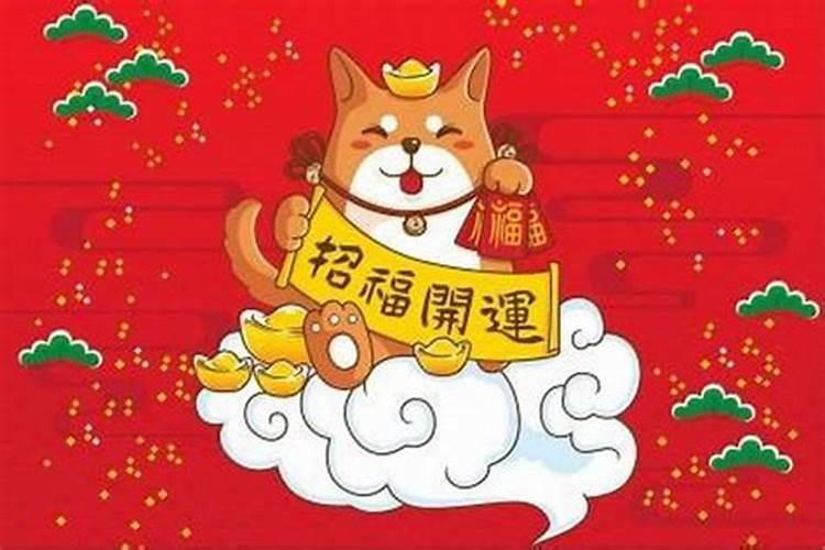 狗今年运气不好总生病适合戴个什么装饰一下