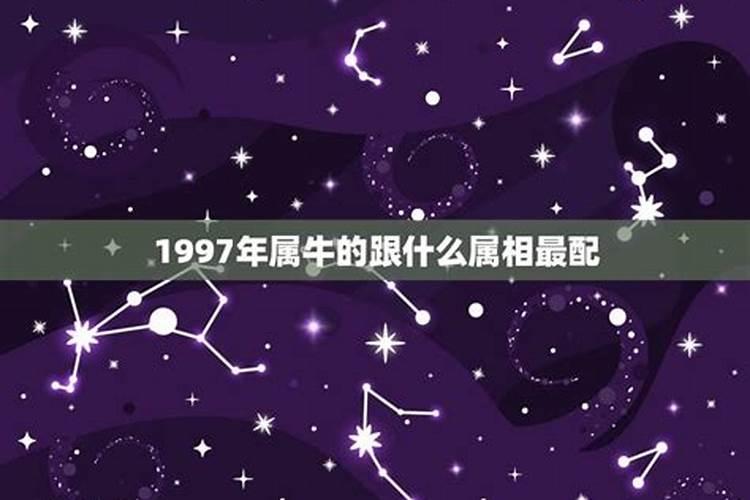 1997年和什么属相婚配最佳