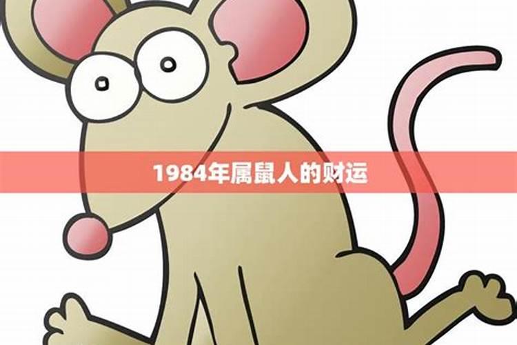 84年属鼠2023年财运