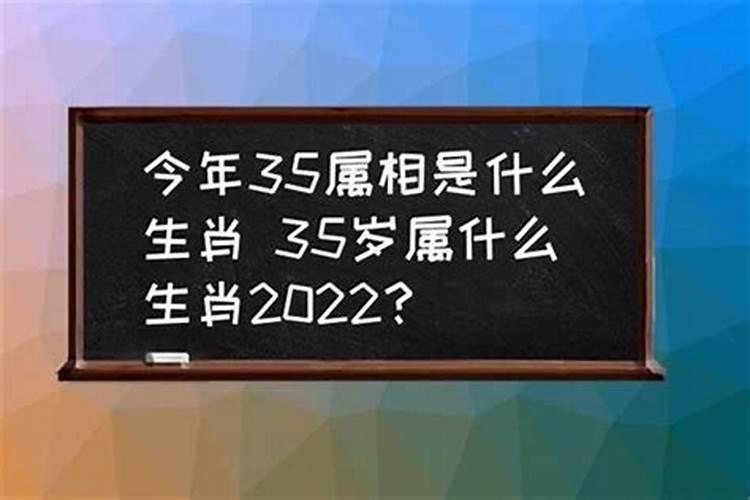 今年35岁属什么生肖的